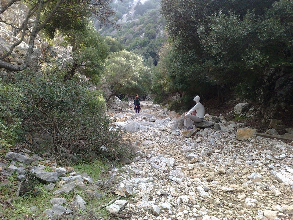 Αιθρα Ξενοδοχείο Πατητήρι Εξωτερικό φωτογραφία